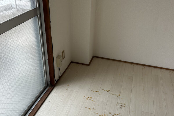 Before Image