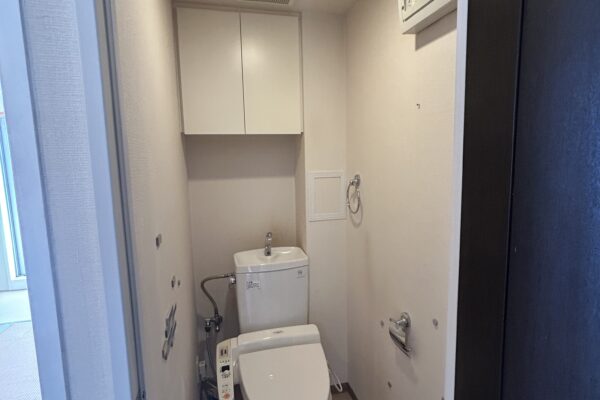 Before Image